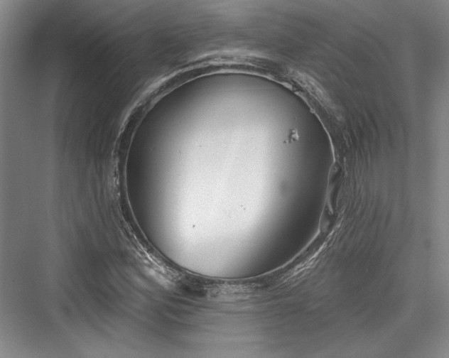 X0000076220348200610051057