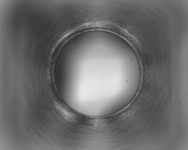 X0000076220350200610051057