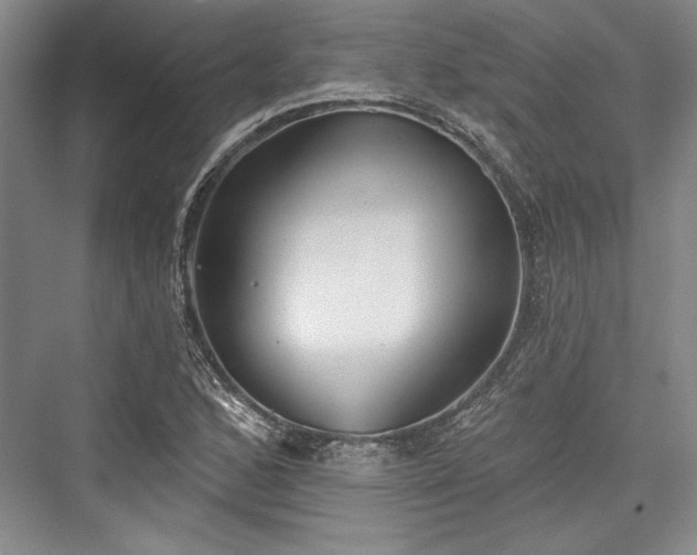 X0000076220352200610051057