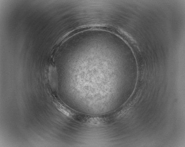 X0000076220353200610051057