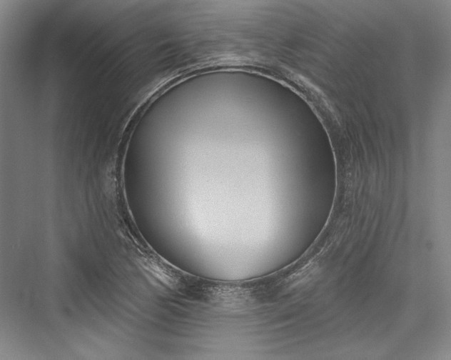 X0000076220354200610051057