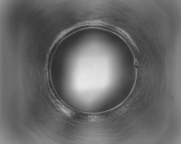 X0000076220360200610051057