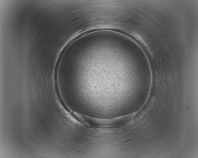 X0000076220365200610051057