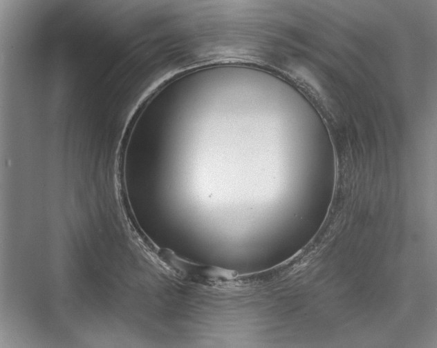 X0000076220366200610051057