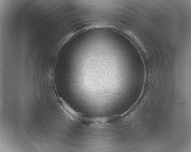 X0000076220369200610051057
