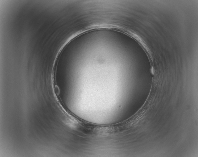 X0000076220371200610051057