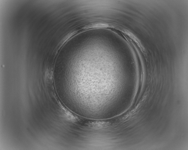 X0000076220377200610051057