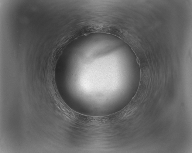 X0000076220385200610051057