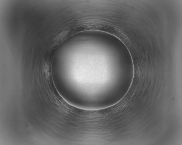 X0000076220388200610051057