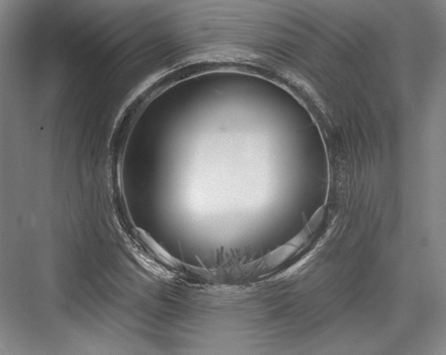 X0000076220394200610051058
