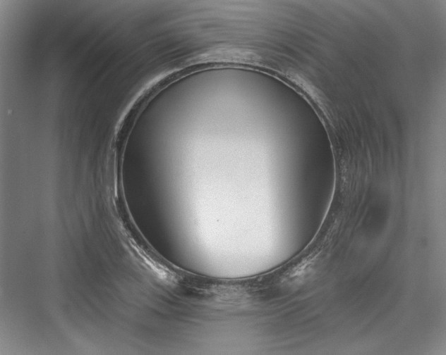 X0000076220403200610051058