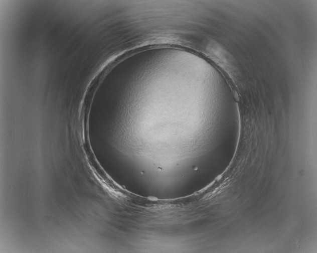 X0000076220407200610051058