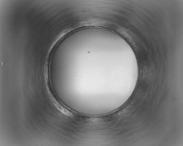 X0000076220410200610051058