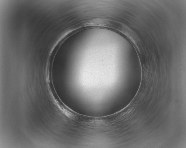 X0000076220411200610051058