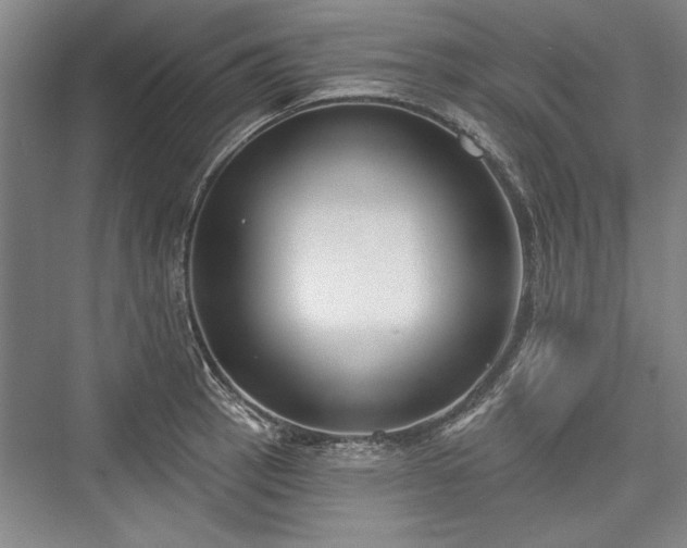 X0000076220417200610051058