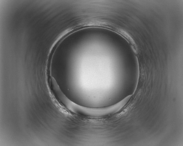 X0000076220418200610051058