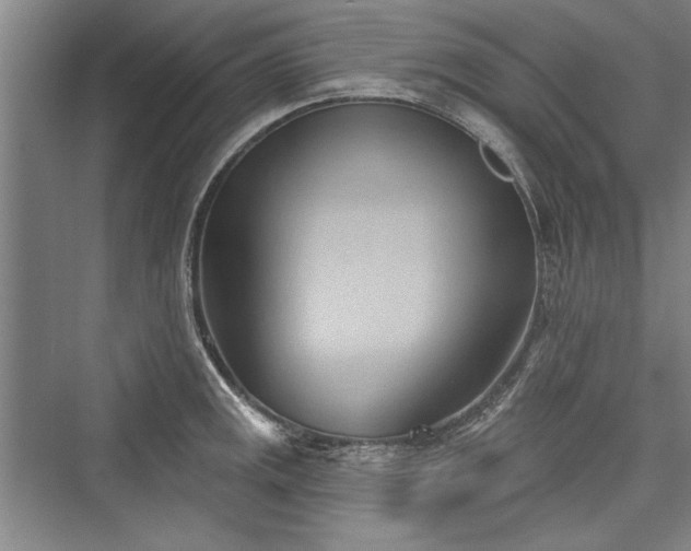 X0000076220421200610051058