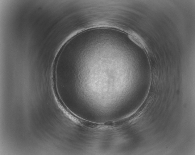 X0000076220422200610051058