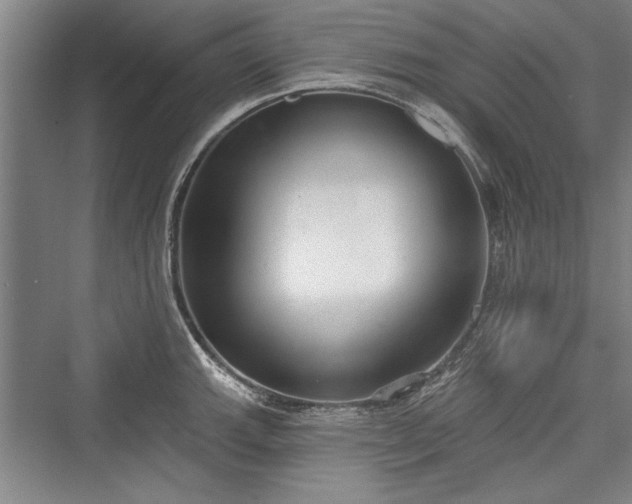 X0000076220423200610051058
