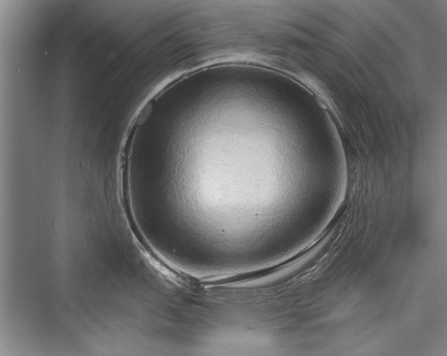 X0000076220431200610051058
