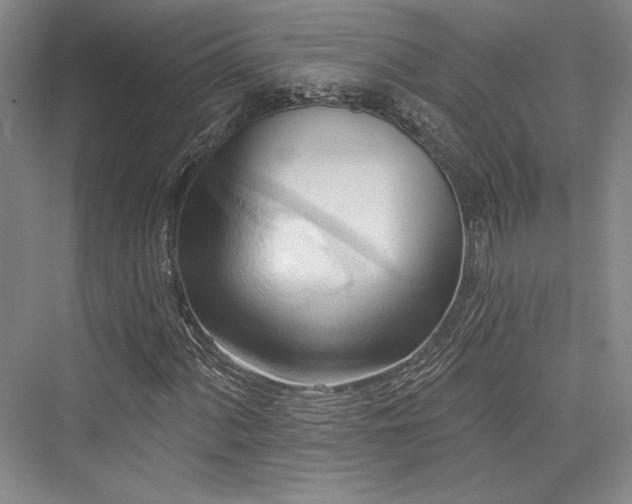 X0000076220436200610051059