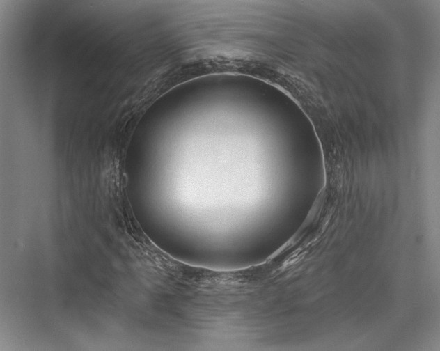 X0000076220437200610051059