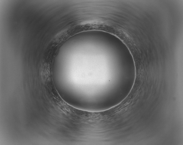 X0000076220438200610051059