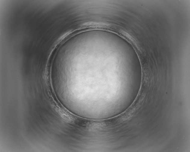 X0000076220450200610051059