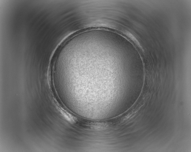 X0000076220452200610051059