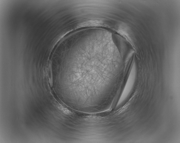 X0000076220457200610051059