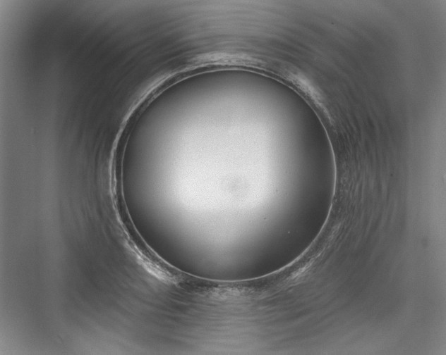 X0000076220458200610051059