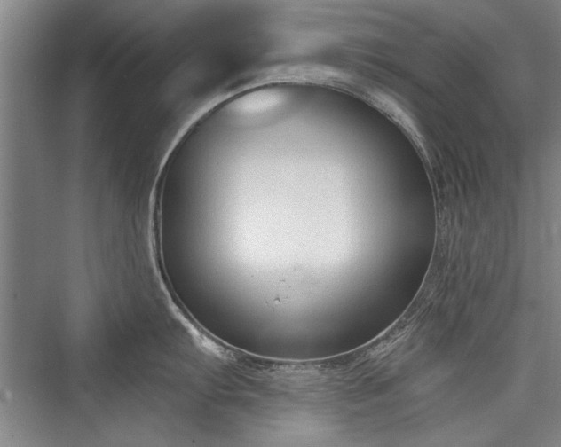 X0000076220479200610051058