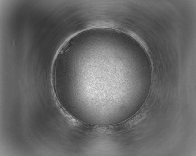 X0000076220480200610051058