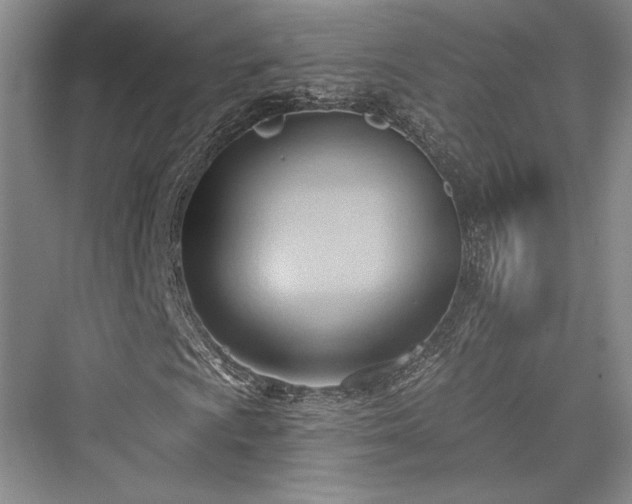 X0000076220481200610051059