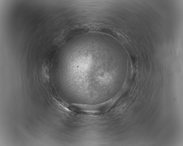 X0000076220482200610051059