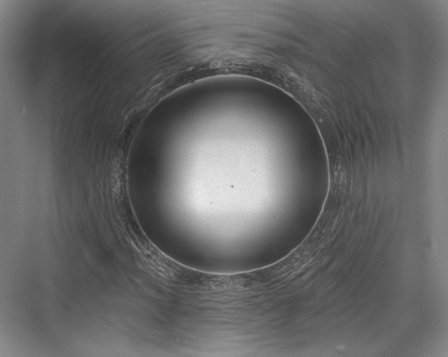 X0000076220484200610051059
