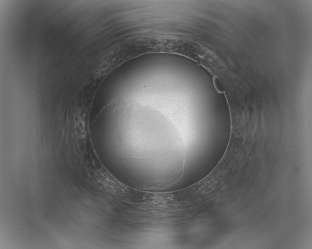 X0000076220485200610051059