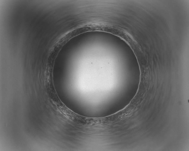 X0000076220488200610051059