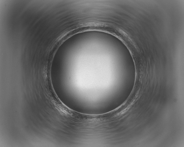 X0000076220489200610051059