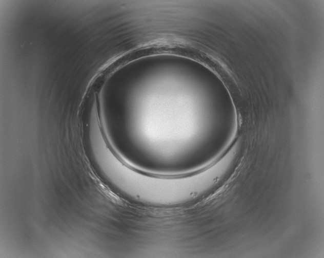 X0000076220490200610051059
