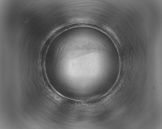 X0000076220491200610051059
