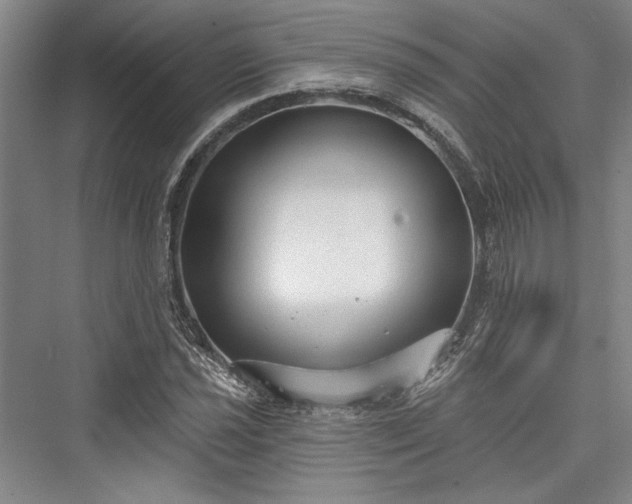 X0000076220493200610051059