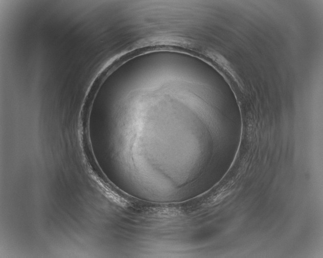 X0000076220496200610051059