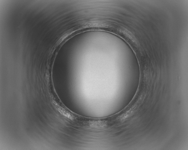 X0000076220497200610051059