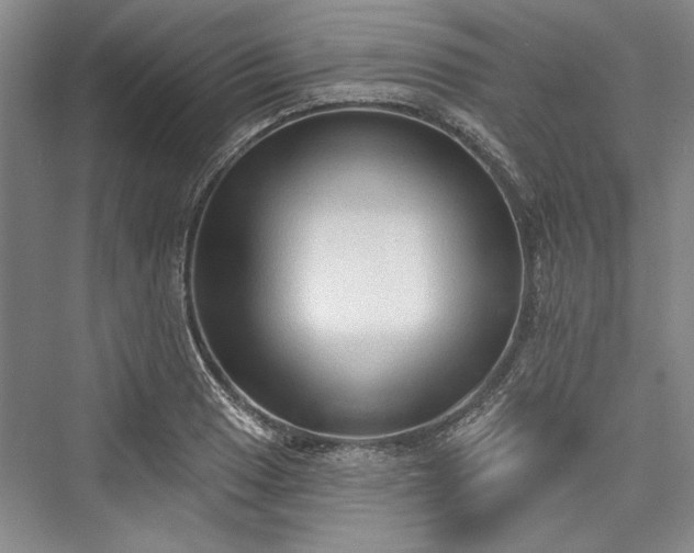 X0000076220505200610051059