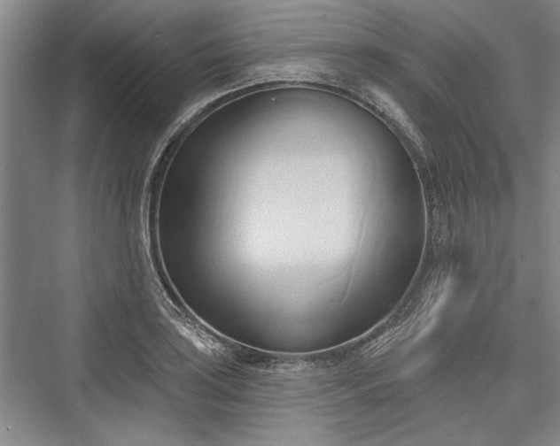 X0000076220507200610051059