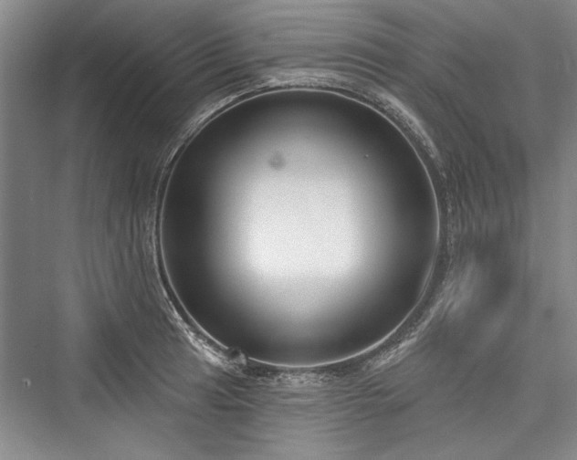 X0000076220513200610051100