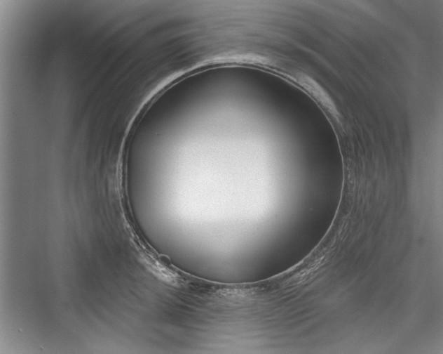 X0000076220516200610051100