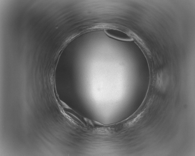 X0000076220521200610051100