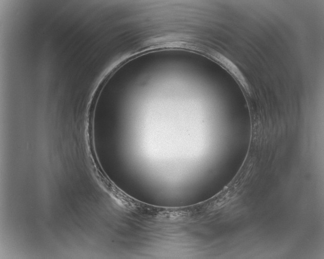 X0000076220523200610051100